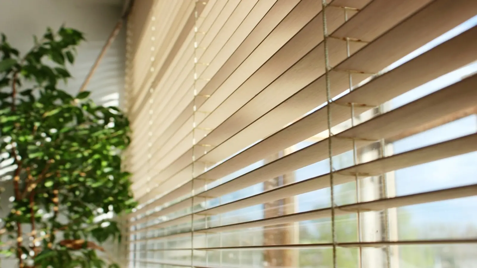 EXCEPTIONAL DUPLEX WINDOW BLINDS IN DUBAI