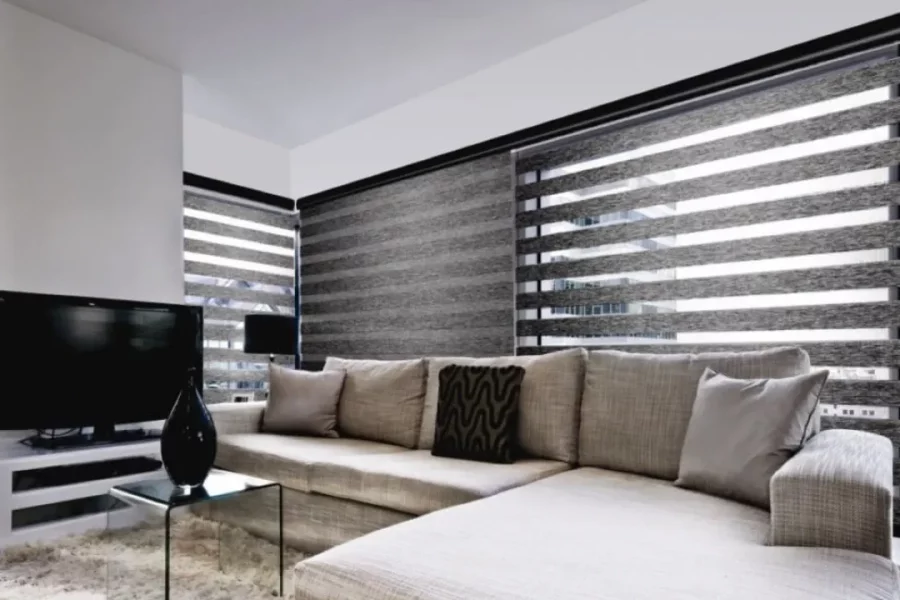 The Pros and Cons of Zebra Blinds