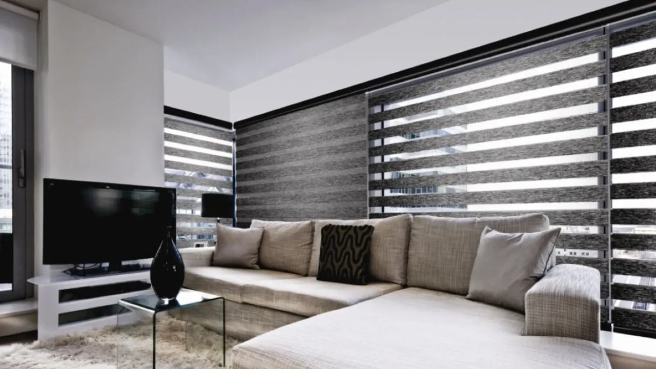 The Pros and Cons of Zebra Blinds