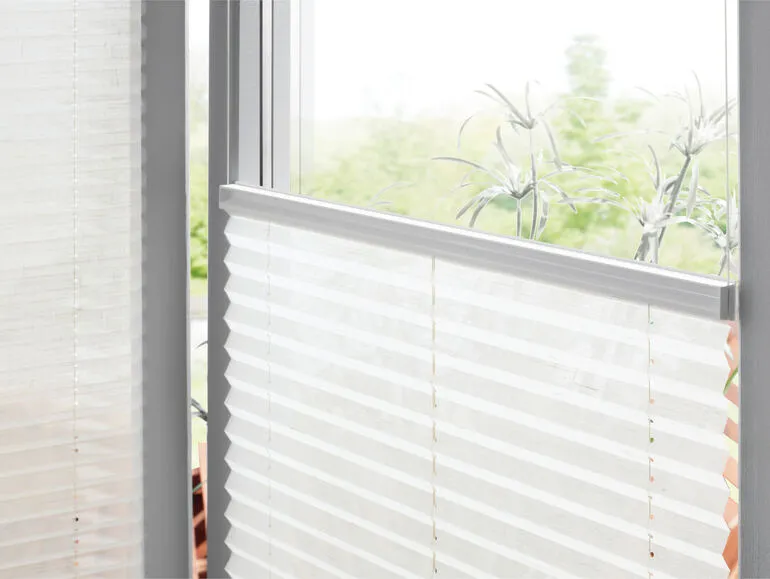 Pleated Blinds