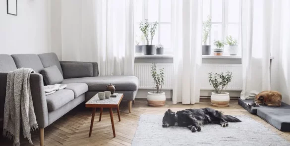 13 Charming Curtain Ideas for Small Windows