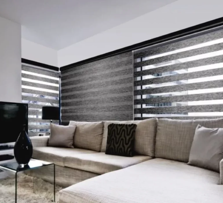 The Pros and Cons of Zebra Blinds