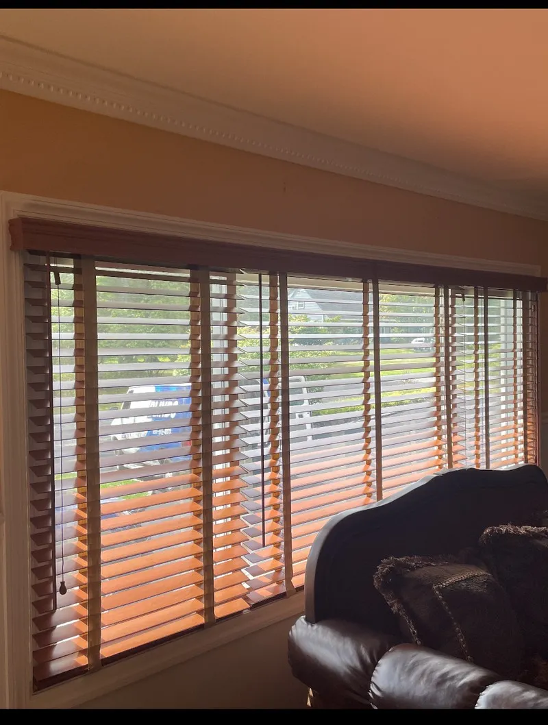 What are Venetian Blinds