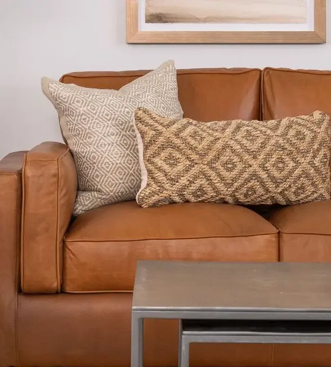 Sofa Fabrics for Pet Owners