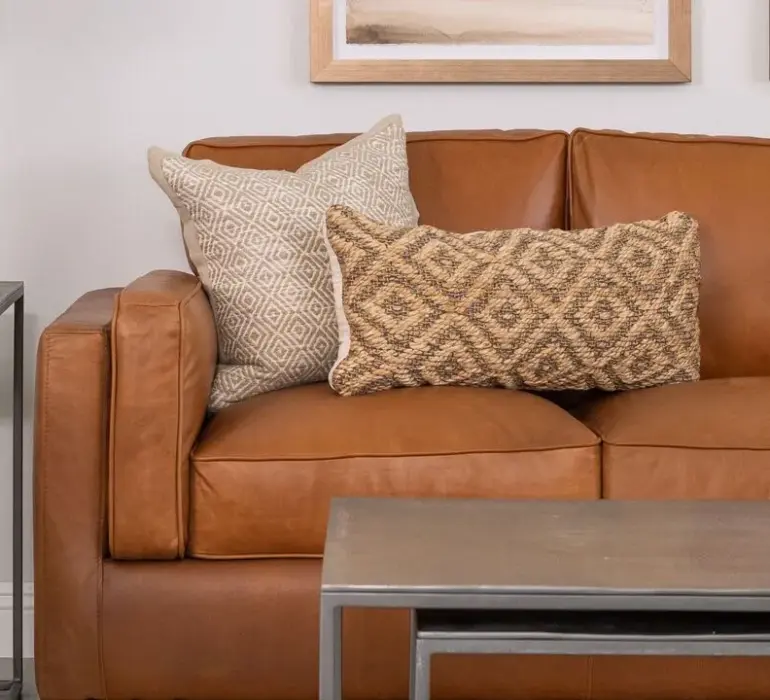 Sofa Fabrics for Pet Owners